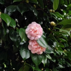 La mer au Pouliguen avec une météo qui change en 3 minutes 😎.#france #sea #landscape